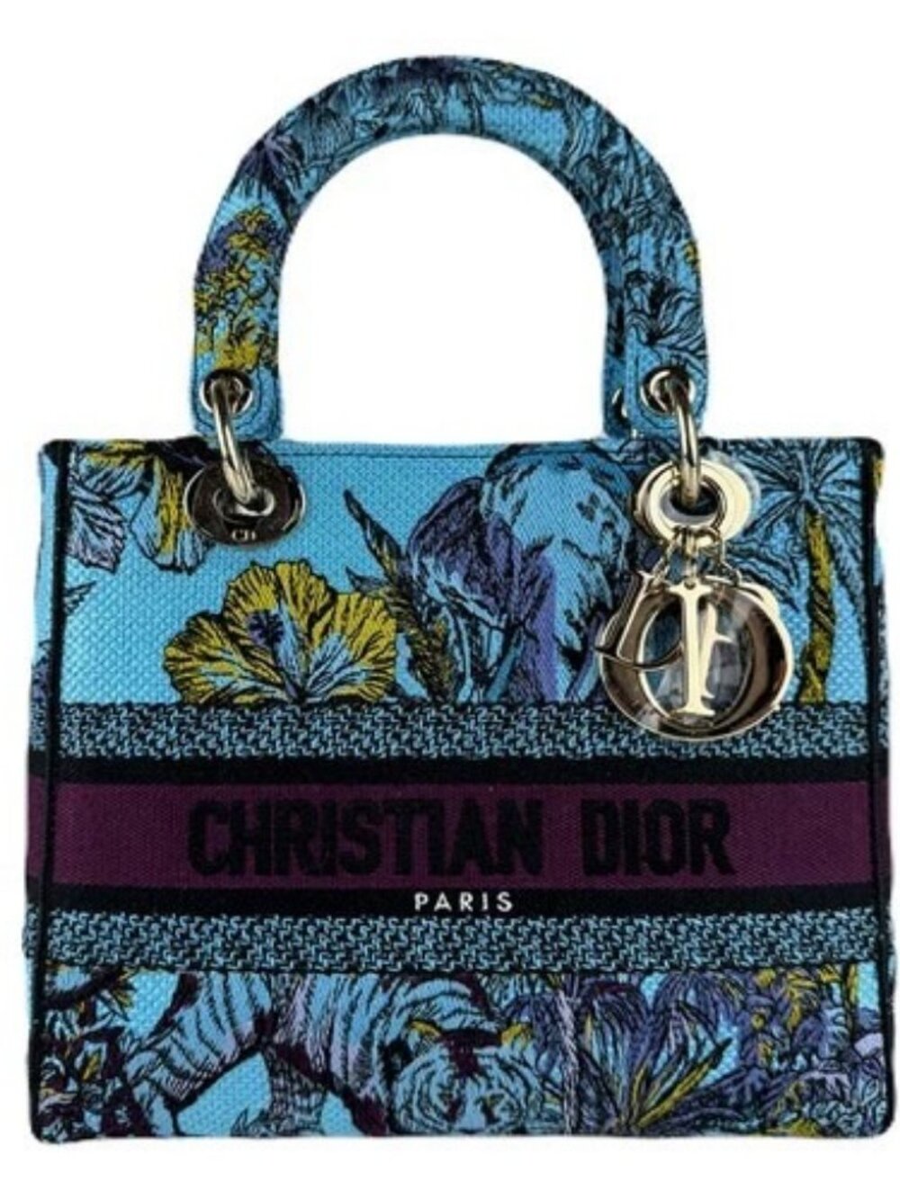 Auth Christian Dior Lafy D-Lite Handbag Shoulder Bag Blue Canvas - z8944